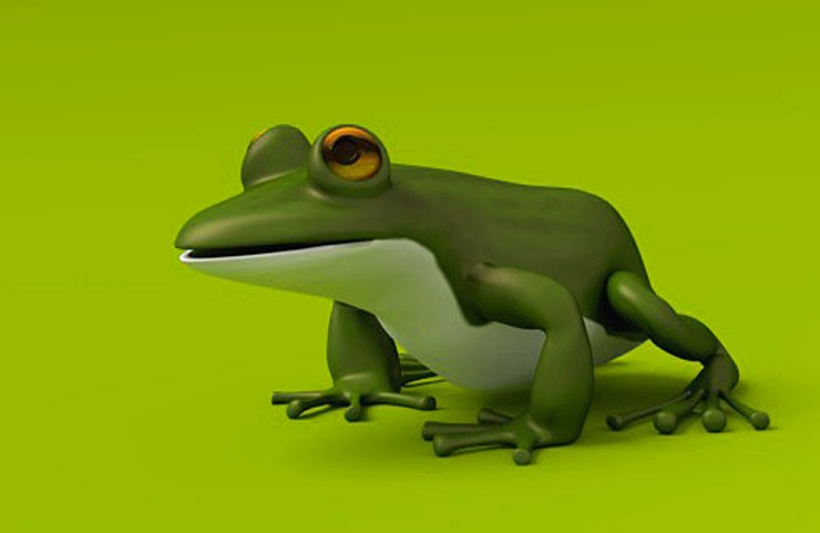 Grenouille, Frog preview image 1